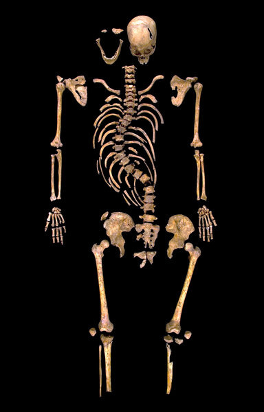 The skeleton of Richard III